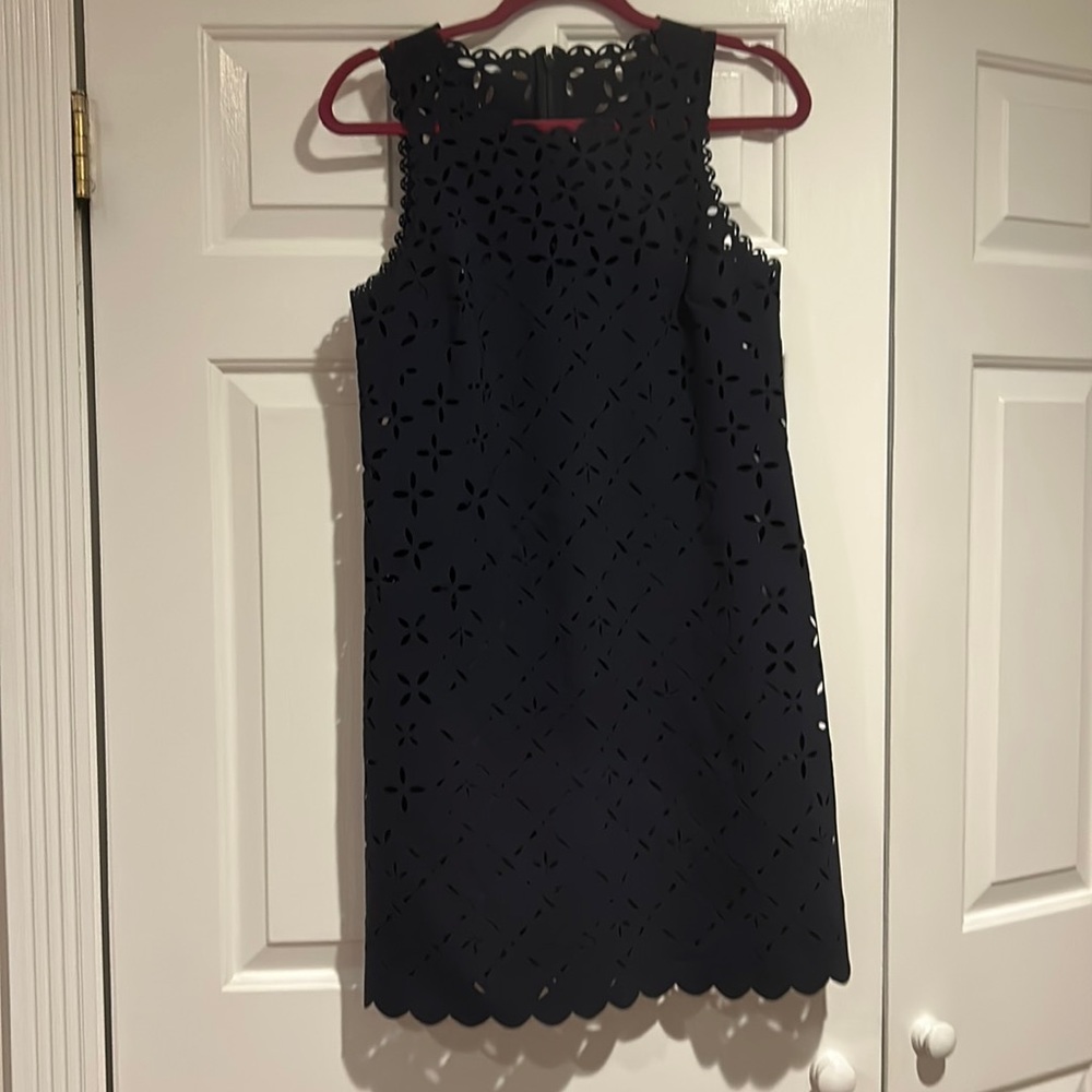 Navy laser cut J.Crew dress.
